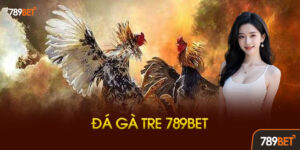 Đá Gà Tre Là Gì? Tại Sao Lại Được Ưa Chuộng?